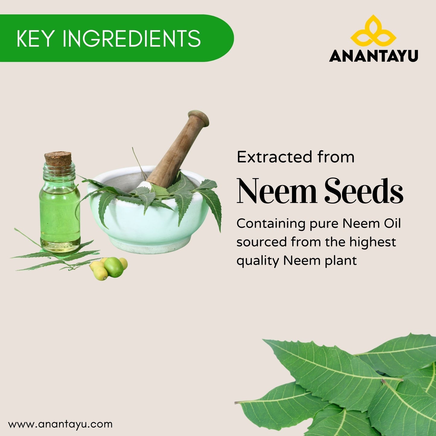 Neem Oil | Ayurvedic Skincare Oil