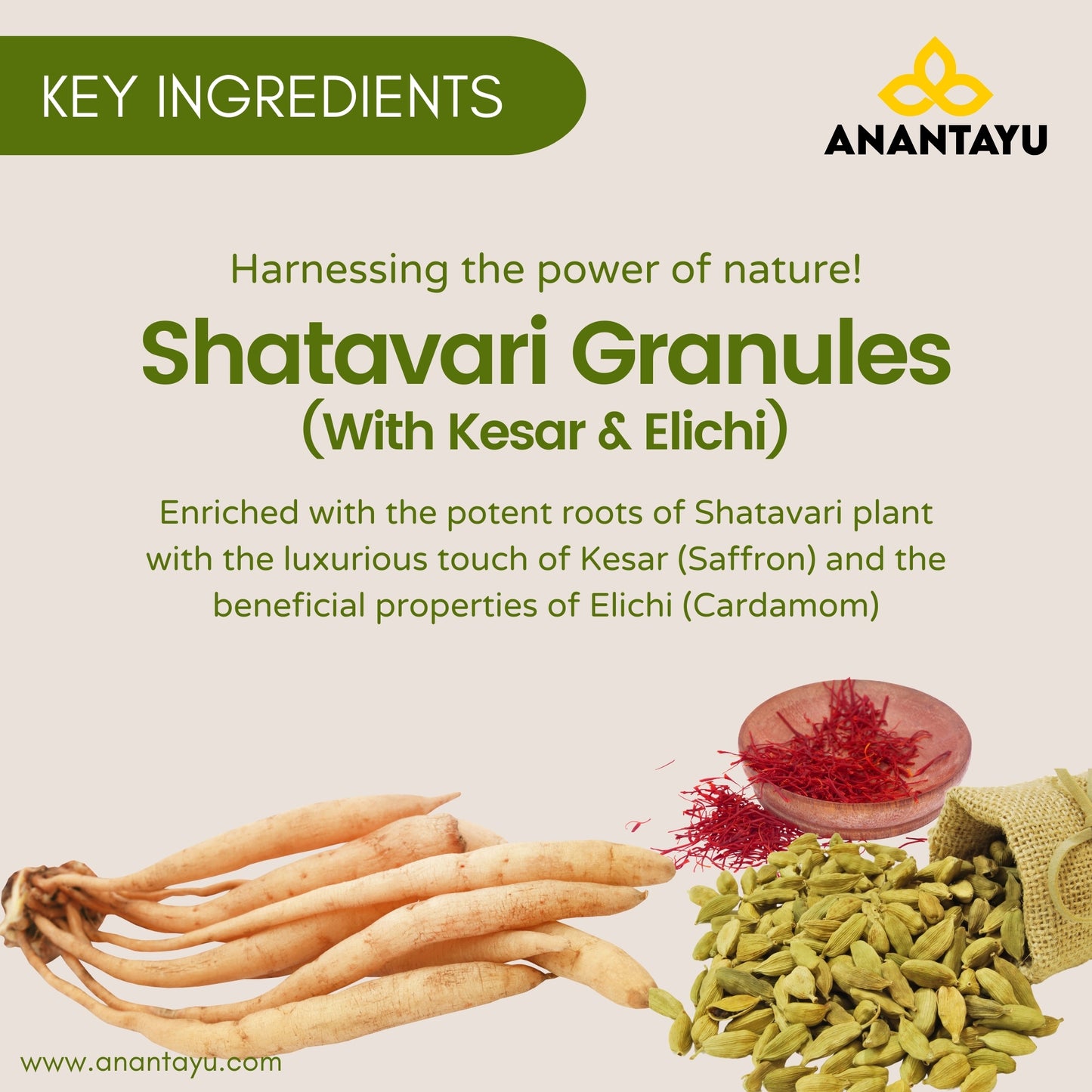 Shatavari Kalpa Granules (With Kesar & Elichi) | Ayurvedic Lactation Supplement