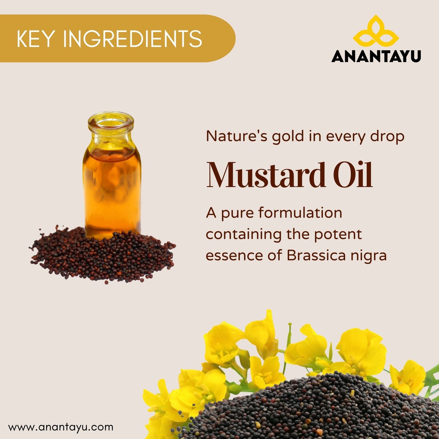 Mustard Oil | Mohri Oil | Sarso ka Oil| Rai Oil| Ayurvedic Massage Oil