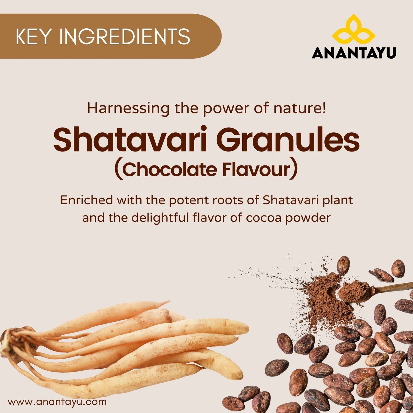 Shatavari Kalpa Granuals (With Cocoa Powder - Chocolate Flavour) | Ayurvedic Lactation Supplement